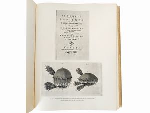 Timina Caproni Guasti e Achille Bertarelli : L'aeronautica italiana nell'immagine: 1487-1875  - Asta Libri Antichi e d'Arte - Associazione Nazionale - Case d'Asta italiane