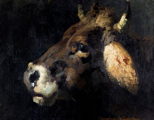 Gianfranco Campestrini : Testa di mucca  - Asta Arte Figurativa tra XIX e XX Secolo - Associazione Nazionale - Case d'Asta italiane