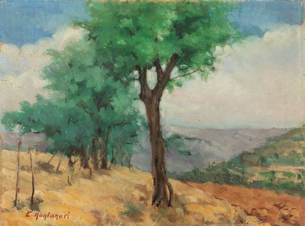 Ettore Montanari : Alberi in collina  - Asta Arte Figurativa tra XIX e XX Secolo - Associazione Nazionale - Case d'Asta italiane