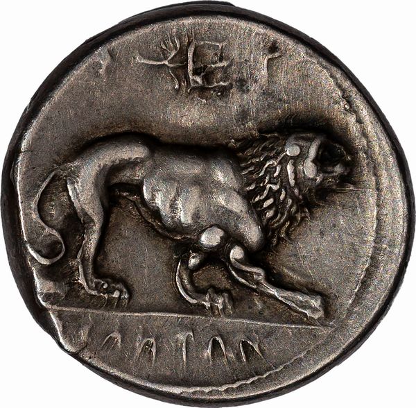 Lucania, Velia : Didramma del gruppo di Philistion  - Asta Numismatica - Associazione Nazionale - Case d'Asta italiane