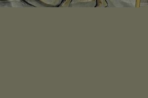 'Il preludio' rilievo in argento firmato Ottaviani. Italia XXI secolo<BR>4850 gr peso lordo.<BR>dimensioni riportate non comprendono la cornice.  - Asta Argenti - Associazione Nazionale - Case d'Asta italiane