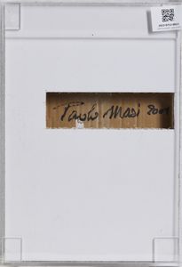 MASI PAOLO (n. 1933) : Senza titolo.  - Asta Asta 418 | ARTE MODERNA E CONTEMPORANEA Online - Associazione Nazionale - Case d'Asta italiane