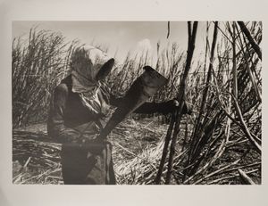 SALGADO SEBASTIAO (n. 1944) : Lotto composto da n.4 fotografie della serie 'Workers, an archaeology of the Industrial age'.  - Asta Asta 418 | ARTE MODERNA E CONTEMPORANEA Online - Associazione Nazionale - Case d'Asta italiane