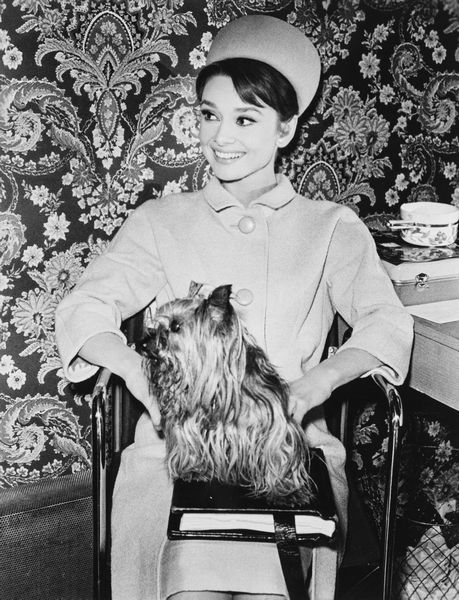 Anonimo : Audrey Hepburn  - Asta Fotografia - Associazione Nazionale - Case d'Asta italiane