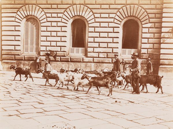 Giacomo Brogi : La vita nelle strade di Napoli  - Asta Fotografia - Associazione Nazionale - Case d'Asta italiane