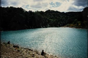 Anonimo : Senza titolo  - Asta Fotografia - Associazione Nazionale - Case d'Asta italiane