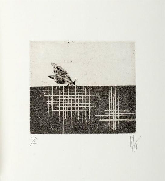 Nag Arnoldi : Insectes. Esprit d'Orient d'apres l'Encyclopedie Diderot et D'Alambert.  - Asta Autografi e manoscritti, Futurismo, libri del Novecento e libri d'artista [Parte I] - Associazione Nazionale - Case d'Asta italiane