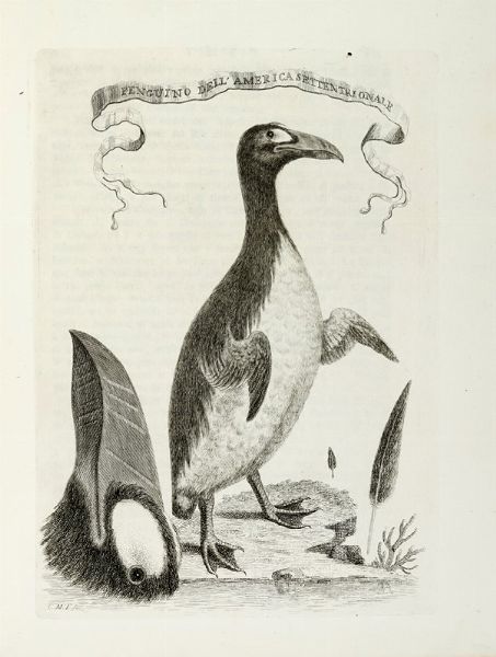 ANTONIO TERRENI : Il Gazzettiere americano contenente un distinto ragguaglio di tutte le parti del Nuovo Mondo [...]. Tradotto dall'inglese e arricchito di aggiunte, note, carte, e rami. Volume primo (-terzo).  - Asta Libri a stampa dal XV al XIX secolo [Parte II] - Associazione Nazionale - Case d'Asta italiane