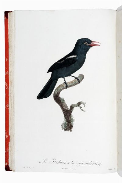 FRANOIS LEVAILLANT : Histoire naturelle des oiseaux de paradis et des rolliers, suivie de celle des Toucans et des Barbus. Tome premier (-second).  - Asta Libri a stampa dal XV al XIX secolo [Parte II] - Associazione Nazionale - Case d'Asta italiane