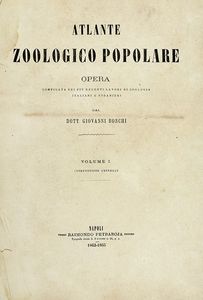 GIOVANNI BOSCHI - Tavole dall'Atlante zoologico popolare. Opera compilata sui pi recenti lavori di zoologia italiani e stranieri.