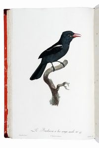 FRANOIS LEVAILLANT : Histoire naturelle des oiseaux de paradis et des rolliers, suivie de celle des Toucans et des Barbus. Tome premier (-second).  - Asta Libri a stampa dal XV al XIX secolo [Parte II] - Associazione Nazionale - Case d'Asta italiane