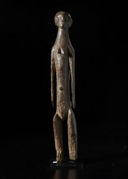 Chamba, Nigeria : Scultura antropomorfa femminile. Legno a patina scura.  - Asta Asta 422 | AFRICA, OCEANIA E AMERICHE - ARTIGIANATO AFRICANO: VARI COMMITTENTI E SELEZIONE DALLA COLLEZIONE BARTOLOMUCCI Online - Associazione Nazionale - Case d'Asta italiane