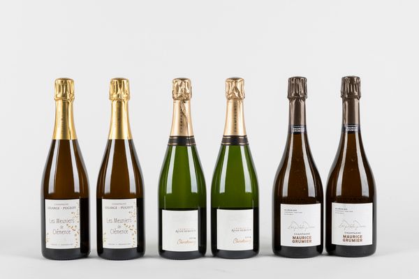 FRANCIA : Selezione Champagne (6 BT)  - Asta Vini e Distillati - Associazione Nazionale - Case d'Asta italiane