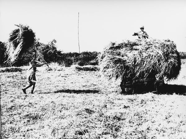 Mario Giacomelli : La buona terra  - Asta Fotografia - Associazione Nazionale - Case d'Asta italiane