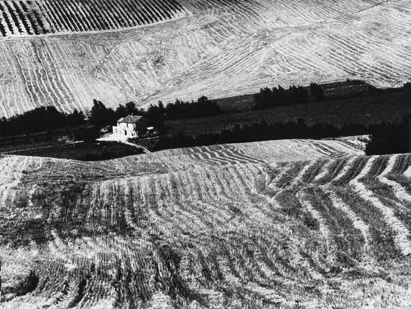 Mario Giacomelli : Presa di coscienza sulla natura  - Asta Fotografia - Associazione Nazionale - Case d'Asta italiane