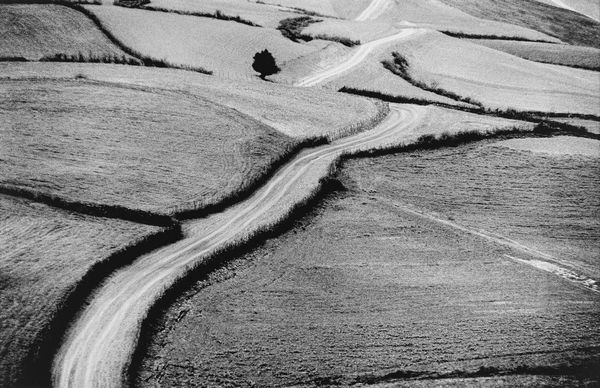 Abbas Kiarostami : Roads  - Asta Fotografia - Associazione Nazionale - Case d'Asta italiane