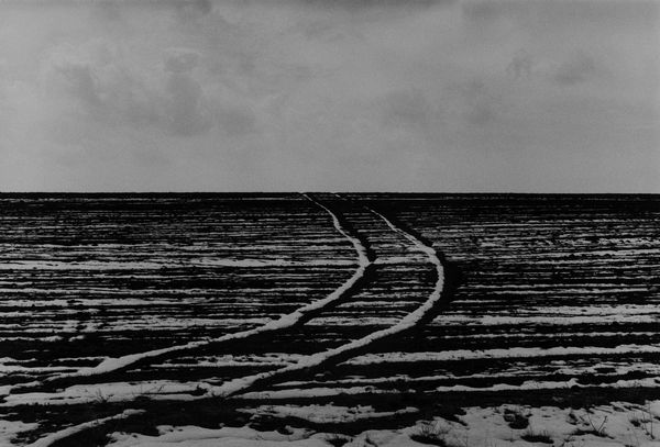 Abbas Kiarostami : Senza titolo, dalla serie Road  - Asta Fotografia - Associazione Nazionale - Case d'Asta italiane