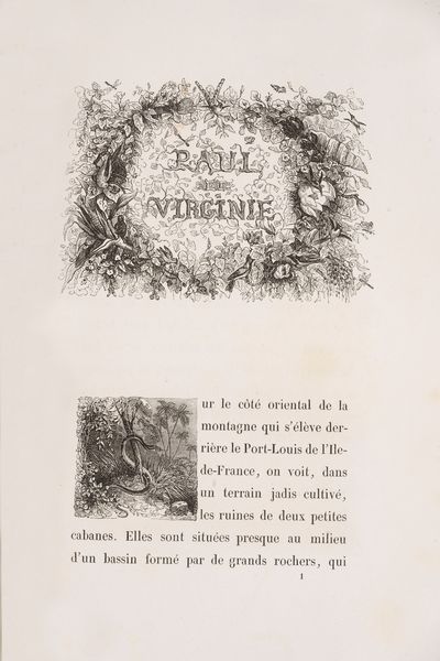 Bernardin De Saint Pierre : Paul et Virginie  - Asta Libri, Autografi e Stampe - Associazione Nazionale - Case d'Asta italiane