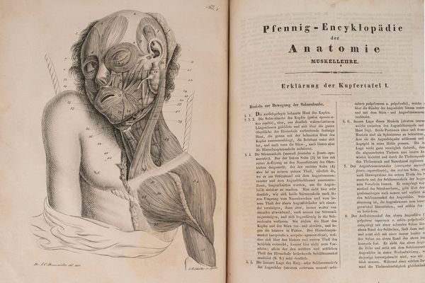 Theodor Richter : Pfenning-Encyklopadie de Anatomie oder bildliche Darstellung der gesammten meschlichen Anatomi nach Rosenmuller, Loder, Carl Bell, Gordon, Bock etc. Gestochen Von J. F. Schroter. Mit erklarendem texte von Dr. Th. Richter.  - Asta Libri, Autografi e Stampe - Associazione Nazionale - Case d'Asta italiane