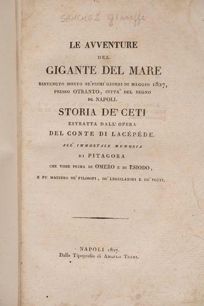 Giuseppe Sanchez : Le avventure del gigante del mare. Rinvenuto morto ne' primi giorni di maggio 1827 presso Otranto, città del Regno di Napoli - Storia de' ceti. Estratta dall'opera del Conte di Lacépéde.  - Asta Libri, Autografi e Stampe - Associazione Nazionale - Case d'Asta italiane