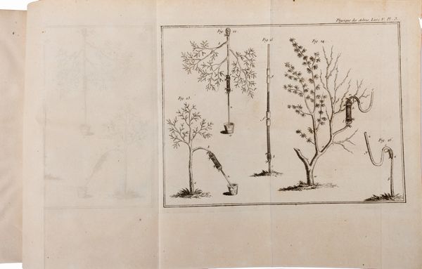 Henri Louis Duhamel du Monceau : La Physique des Arbres; où il est traité de l'Anatomie des Plantes et de l'Economie vegetale  - Asta Libri, Autografi e Stampe - Associazione Nazionale - Case d'Asta italiane