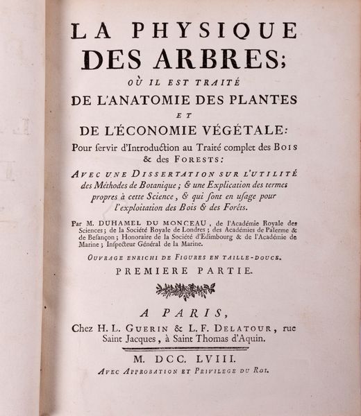 Henri Louis Duhamel du Monceau : La Physique des Arbres; où il est traité de l'Anatomie des Plantes et de l'Economie vegetale  - Asta Libri, Autografi e Stampe - Associazione Nazionale - Case d'Asta italiane