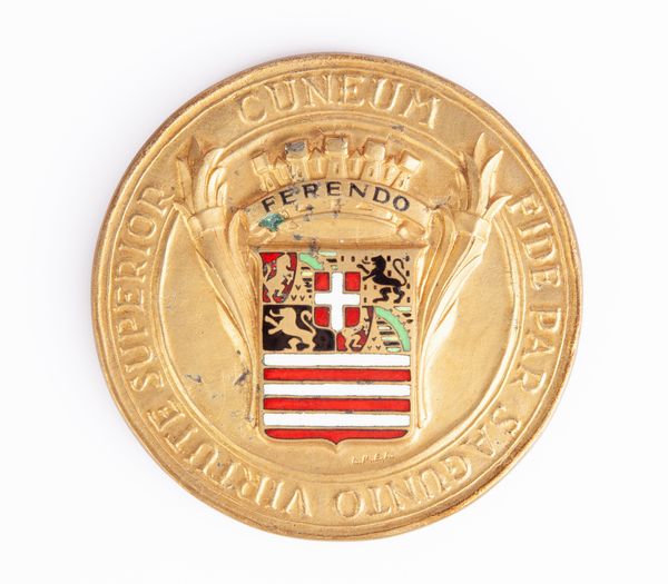 Medaglia citt di Cuneo in bronzo dorato e smaltato con Stemma e Riproduzione del sigillo trecentesco della citt: NOTUM SIT CONTIS Q CUNEUM CAPUD EST PEDEMONTIS  - Asta Numismatica - Associazione Nazionale - Case d'Asta italiane