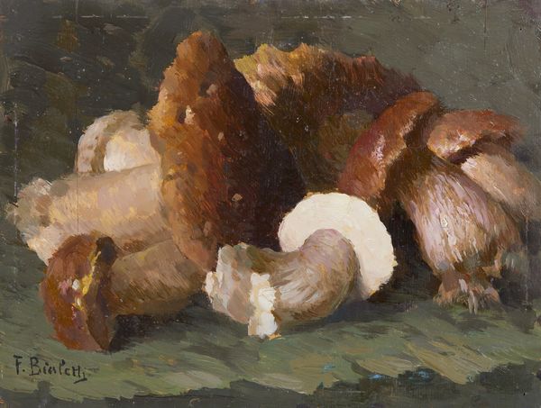 BIALETTI FERDINANDO (1864 - 1958) : Natura morta di funghi  - Asta Asta 423 | ARTE ANTICA E DEL XIX SECOLO Online - Associazione Nazionale - Case d'Asta italiane