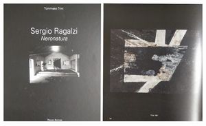 SERGIO RAGALZI : Virus  - Asta Arte Moderna e Contemporanea - Associazione Nazionale - Case d'Asta italiane