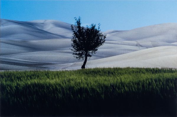 FRANCO  FONTANA : Paesaggio Basilicata  - Asta Asta di arte moderna e contemporanea - Associazione Nazionale - Case d'Asta italiane