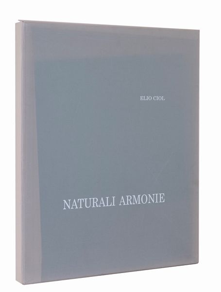 Elio Ciol : Naturali armonie  - Asta Asta di arte moderna e contemporanea - Associazione Nazionale - Case d'Asta italiane