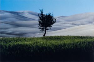 FRANCO  FONTANA - Paesaggio Basilicata