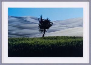 FRANCO  FONTANA : Paesaggio Basilicata  - Asta Asta di arte moderna e contemporanea - Associazione Nazionale - Case d'Asta italiane