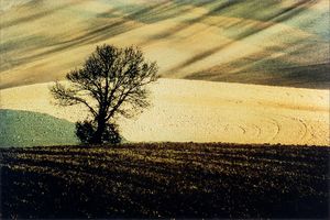 FRANCO  FONTANA - Paesaggio Basilicata