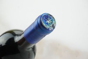 Sassicaia Tenuta San Guido 1993  - Asta LA RAFFINATEZZA DELLA COMPLESSITA' - Vini Pregiati e da Collezione - Associazione Nazionale - Case d'Asta italiane