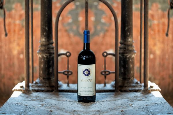 Sassicaia Tenuta San Guido 2007  - Asta PANDOLFINI PER AMICI DI URI - ASTA BENEFICA PER SOSTENERE LA RICERCA SCIENTIFICA UROLOGICA - Associazione Nazionale - Case d'Asta italiane