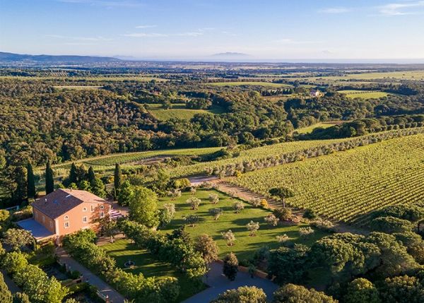 Tenuta Biserno - Bibbona (LI)  - Asta PANDOLFINI PER AMICI DI URI - ASTA BENEFICA PER SOSTENERE LA RICERCA SCIENTIFICA UROLOGICA - Associazione Nazionale - Case d'Asta italiane