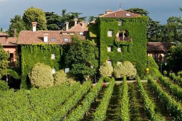 L’Albereta Relais & Chateaux - Erbusco (BR)  - Asta PANDOLFINI PER AMICI DI URI - ASTA BENEFICA PER SOSTENERE LA RICERCA SCIENTIFICA UROLOGICA - Associazione Nazionale - Case d'Asta italiane