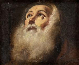 Artista emiliano, XVII secolo - Testa di vecchio con barba