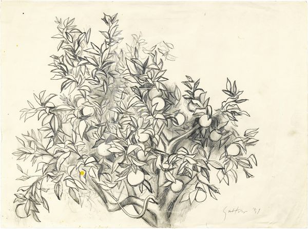 Renato Guttuso : Albero di arancio  - Asta Dipinti, Disegni, Sculture e Grafica - Associazione Nazionale - Case d'Asta italiane