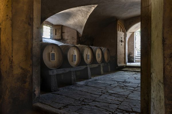 FATTORIA DI TORRE A CONA  - Asta ASTA A TEMPO | AIRC - Associazione Nazionale - Case d'Asta italiane