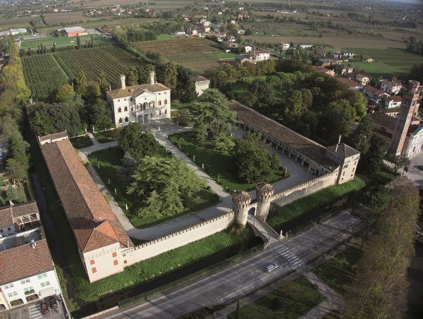 VINCENZO E ILARIA CIANI BASSETTI  - Asta ASTA A TEMPO | AIRC - Associazione Nazionale - Case d'Asta italiane