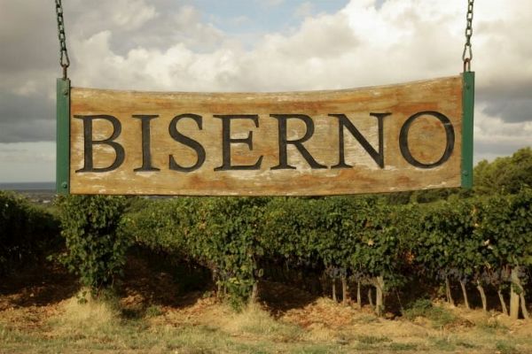 TENUTA DI BISERNO  - Asta ASTA A TEMPO | AIRC - Associazione Nazionale - Case d'Asta italiane