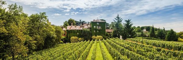 L'ALBERETA RELAIS & CHATEAUX  - Asta ASTA A TEMPO | AIRC - Associazione Nazionale - Case d'Asta italiane