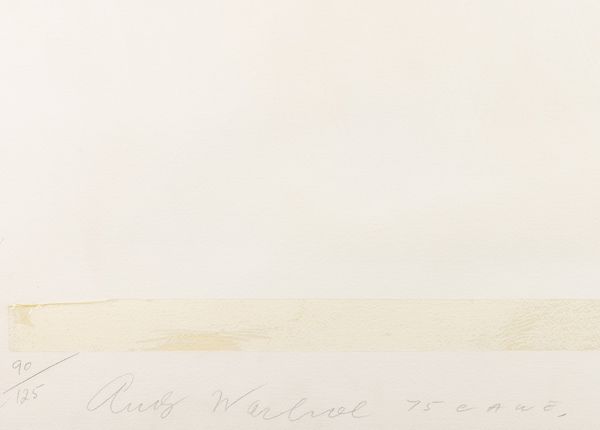 Andy Warhol : Ladies & Gentlemen  - Asta Arte Moderna e Contemporanea - Associazione Nazionale - Case d'Asta italiane