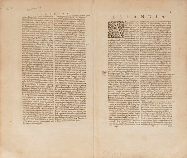 Willem Blaeu : Tabula Islandiae Auctore Geogio Carolo Flandro  - Asta Libri, Autografi e Stampe - Associazione Nazionale - Case d'Asta italiane