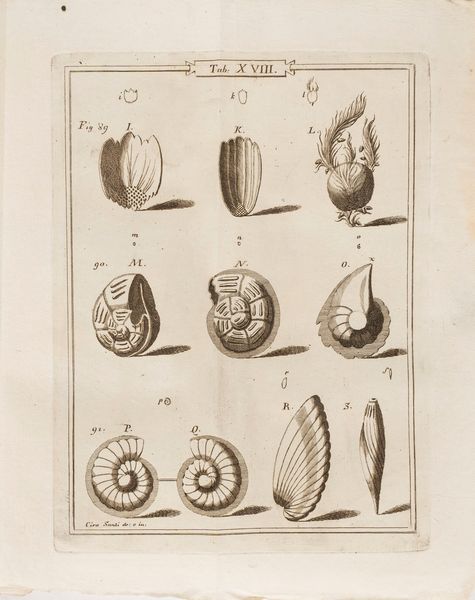 Ambrogio Soldani : Saggio orittografico ovvero Osservazioni sopra le terre nautilitiche ed ammonitiche della Toscana. Con appendice o indice latino ragionato de' piccoli testacei, e d'altri fossili d'origin marina per schiarimento dell'opera.  - Asta Libri, Autografi e Stampe - Associazione Nazionale - Case d'Asta italiane