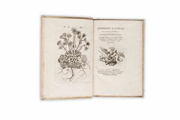 DOMENICO VANDELLI : Dissertationes tres. De Aponi Thermis: de nonnullis insectis terrestribus, & zoophytis marinis, & de vermium terrae reproductione, atque taenia canis  - Asta Libri, Autografi e Stampe - Associazione Nazionale - Case d'Asta italiane