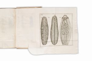 DOMENICO VANDELLI : Dissertationes tres. De Aponi Thermis: de nonnullis insectis terrestribus, & zoophytis marinis, & de vermium terrae reproductione, atque taenia canis  - Asta Libri, Autografi e Stampe - Associazione Nazionale - Case d'Asta italiane