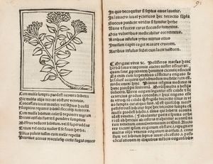 Macer Floridus (o Emilio), [pseudonimo di Odo di Meung?] : Herbarum varias qui vis cognoscere vires huc Macer adest  - Asta Libri, Autografi e Stampe - Associazione Nazionale - Case d'Asta italiane